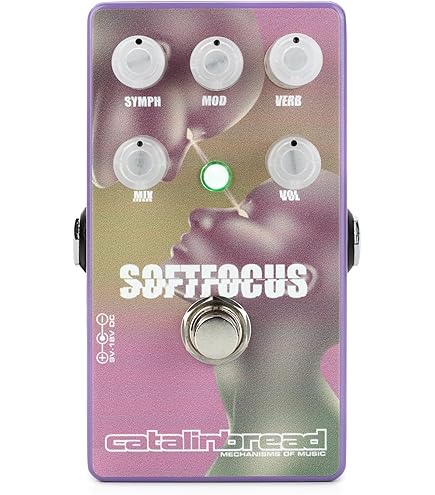 Catalinbread FX40 soft focus reverb 美品 Amazon.com: Catalinbread FX40 Soft Focus Shoegaze Reverb Pedal
